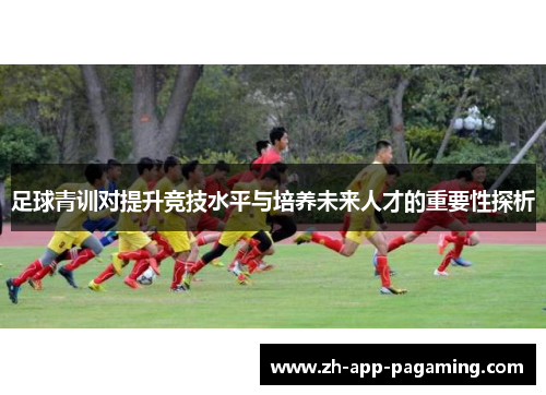 足球青训对提升竞技水平与培养未来人才的重要性探析 足球青训对提升竞技水平与培养未来人才的重要性探析