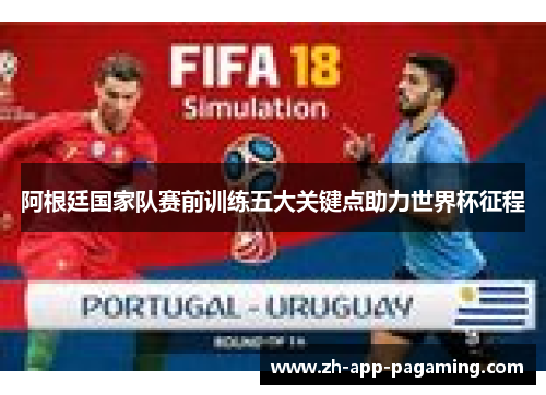 阿根廷国家队赛前训练五大关键点助力世界杯征程