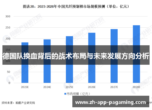 德国队换血背后的战术布局与未来发展方向分析 德国队换血背后的战术布局与未来发展方向分析