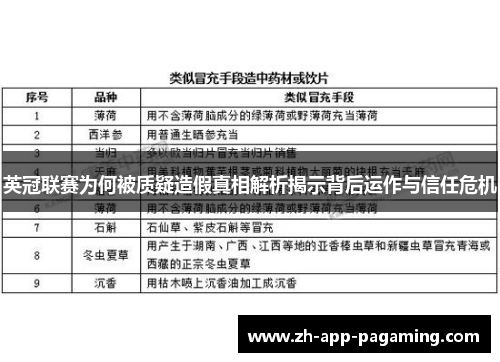 英冠联赛为何被质疑造假真相解析揭示背后运作与信任危机