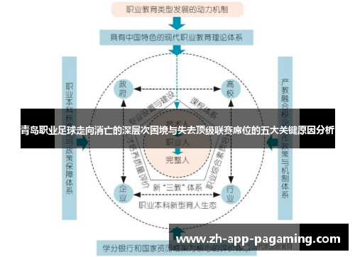 青岛职业足球走向消亡的深层次困境与失去顶级联赛席位的五大关键原因分析